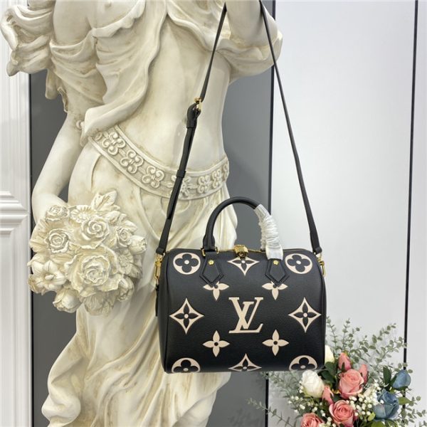 Louis Vuitton Speedy Bandouliere 25 (Varied Colors) - Image 14