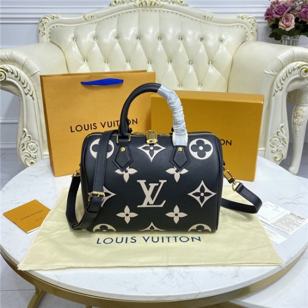 Louis Vuitton Speedy Bandouliere 25 (Varied Colors) - Image 15