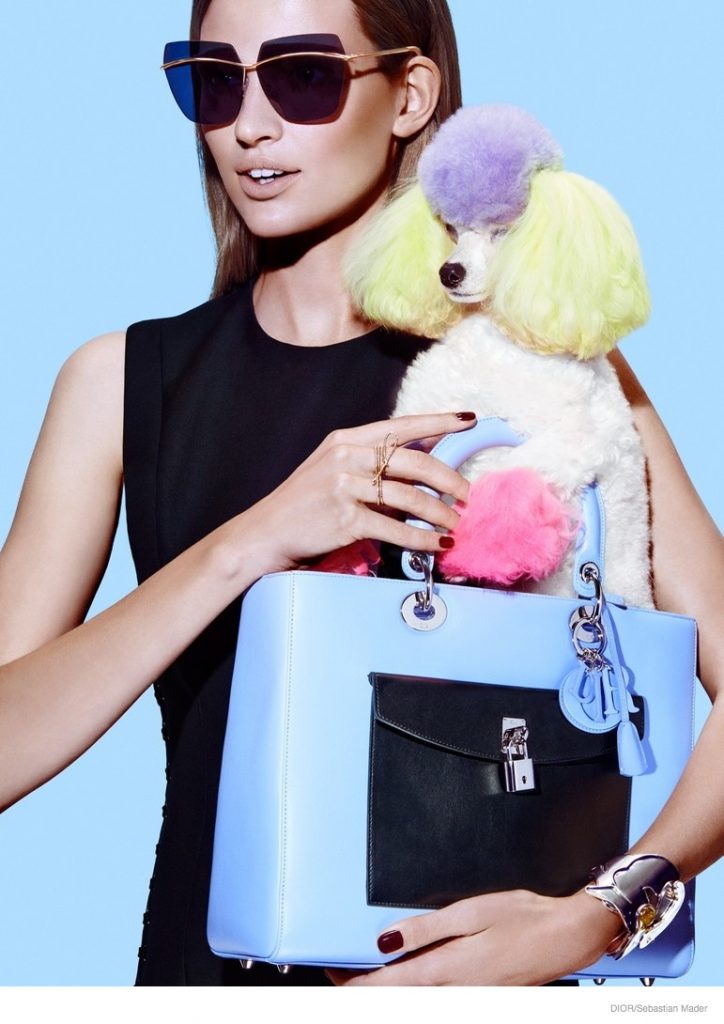 Dior Replica bag model with puppy