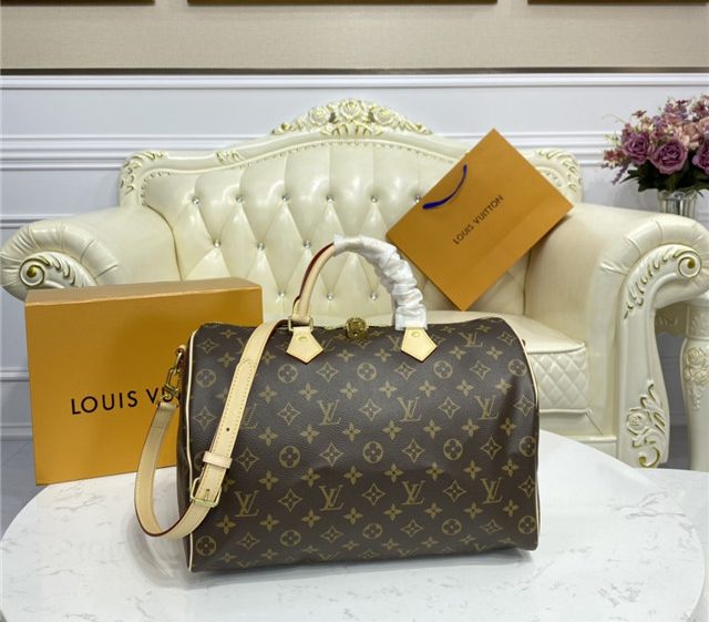 Louis Vuitton Replica