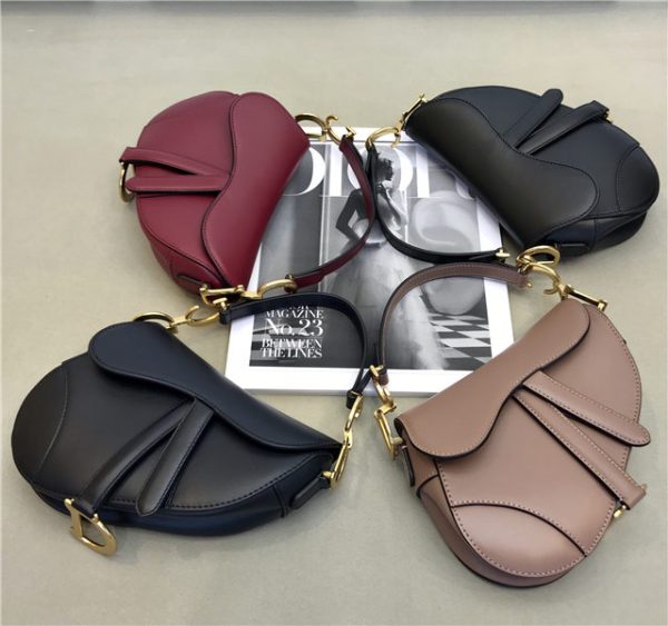 Christian Dior Mini Saddle bag 44602 (Varied Colors) - Image 13