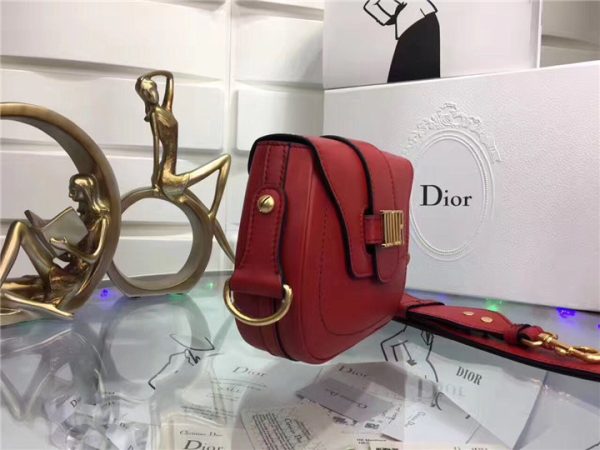 Dior D-Fence saddle bag 55037 (Varied Colors) - Image 24
