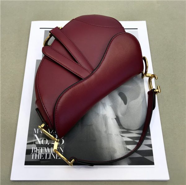Christian Dior Mini Saddle bag 44602 (Varied Colors) - Image 28