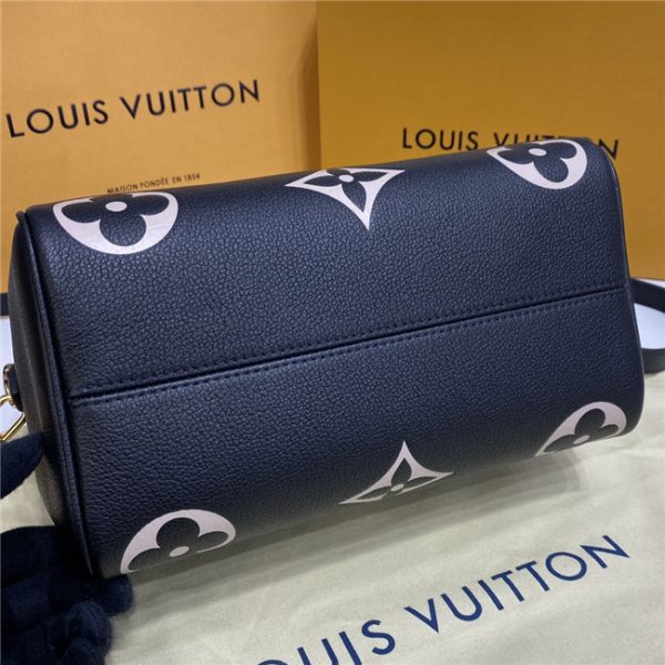Louis Vuitton Speedy Bandouliere 25 (Varied Colors) - Image 18