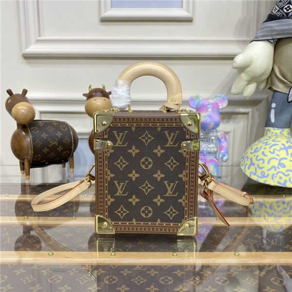 Louis Vuitton Camera Box Monogram - Image 4
