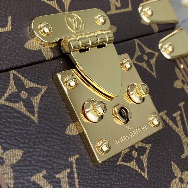 Louis Vuitton Camera Box Monogram - Image 6