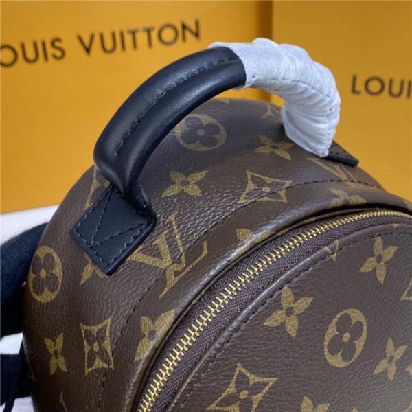 Louis Vuitton Palm Springs Mini - Image 5