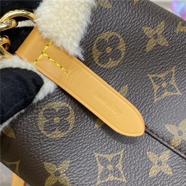 Louis Vuitton NeoNoe BB Monogram Cozygram - Image 7